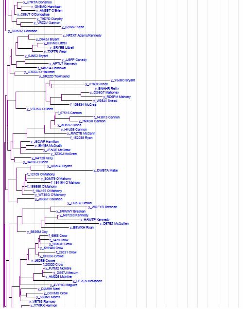 Click to download a Larger Image as a pdf file Phylogram Network