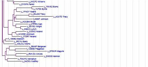 Click to download a Larger Image as a pdf file Phylogram Network