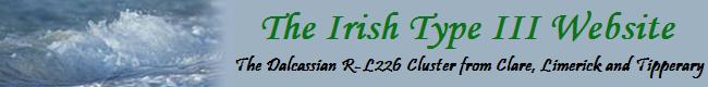 Irish Type 3 Website